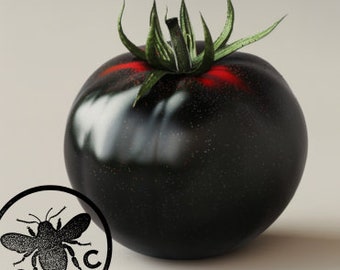 NEW! Organic Indigo Apple Tomato Seeds, Heirloom, Non-GMO, Solanum Lycopersicum LY2120