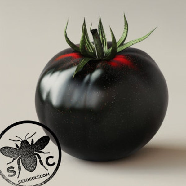 NEW! Organic Indigo Apple Tomato Seeds, Heirloom, Non-GMO, Solanum Lycopersicum LY2120