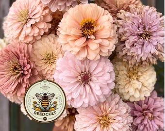 Pastel Mix Zinnia Seeds, Peach, Light Pink, Lilac, Mauve and Cream, ZE5425