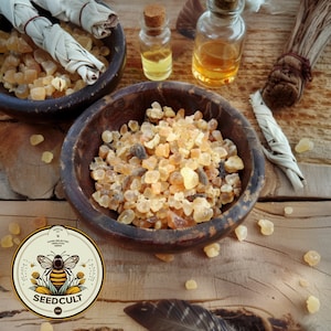 100% Pure Frankincense RESIN, NOT OIL FR01V