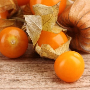 Aunt Molly's Ground Cherry Seeds, Delicious fruit, Physalis Pruinosa PH0220
