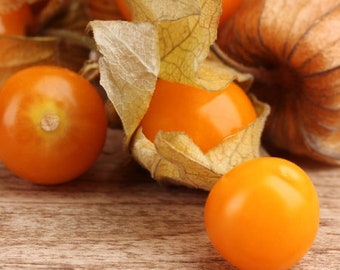 Aunt Molly's Ground Cherry Seeds, Delicious fruit, Physalis Pruinosa PH0225