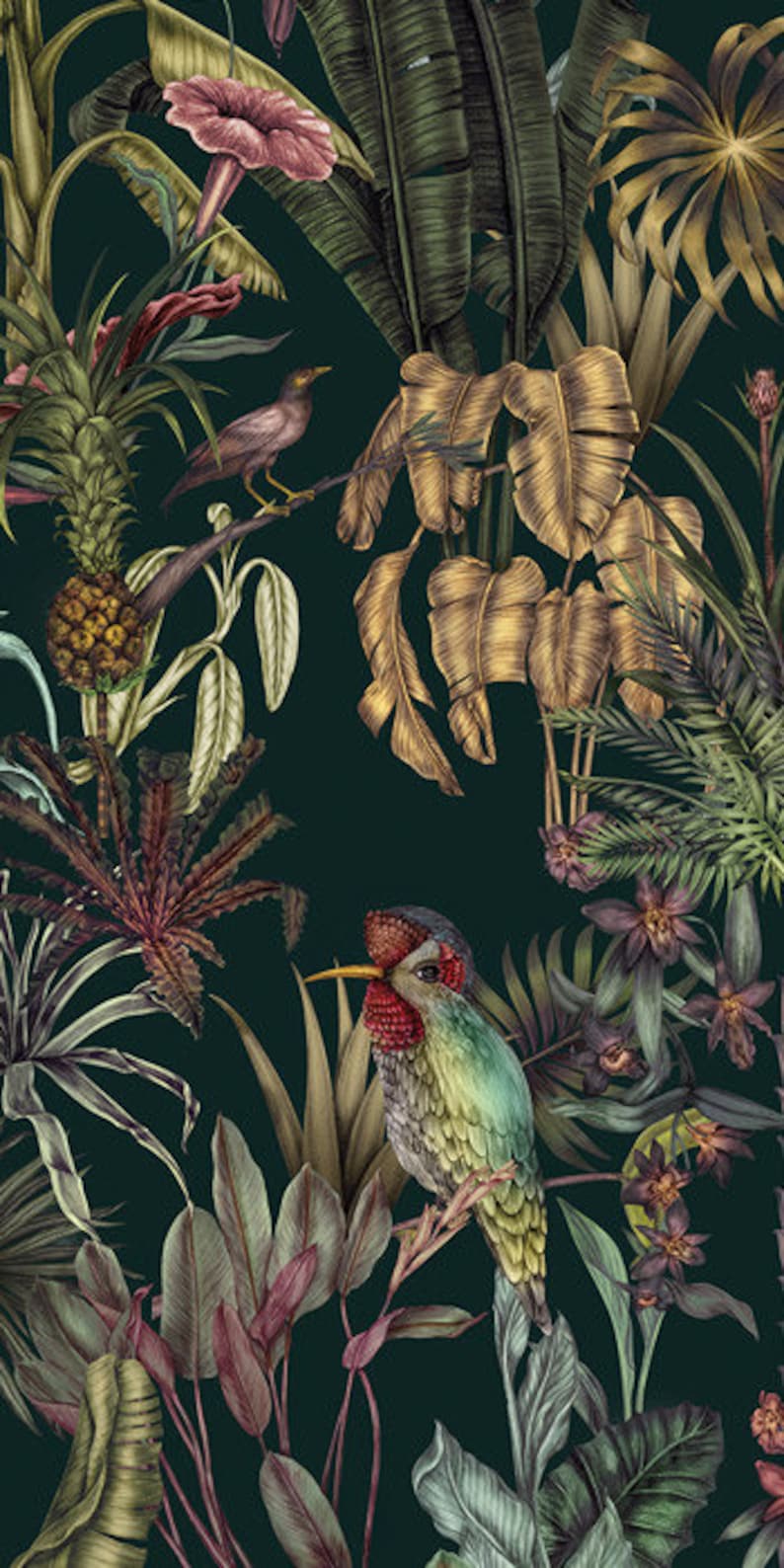 May include: A dark green wallpaper featuring a dense tropical jungle pattern with golden palm leaves, a pineapple, a small bird perched on a branch, and a prominent hummingbird with a red head and green body surrounded by purple flowers.