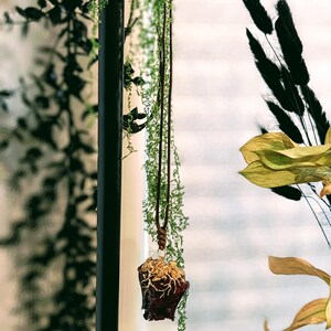 Real Rose Petal Pendant – Resin Dipped Flower Necklace – Romantic Botanical Jewelry – Nature Lover Gift – Whimsical Floral Pendant for Her