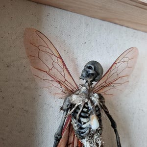 May include: A skeletal fairy sculpture with detailed bone structure and delicate, reddish-brown wings. The figure is set against a neutral background, framed by a wooden border, creating a gothic and macabre aesthetic.