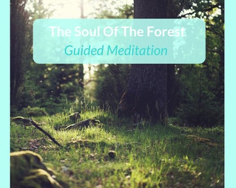 The Soul Of The Forest - Guided Meditation