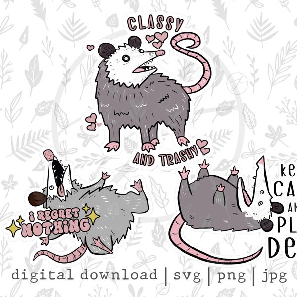 Opossum Stickers | Images | PNG | Print and Cut | Sublimation | Stickers | Funny | Trash | Possum | Trash Kitty