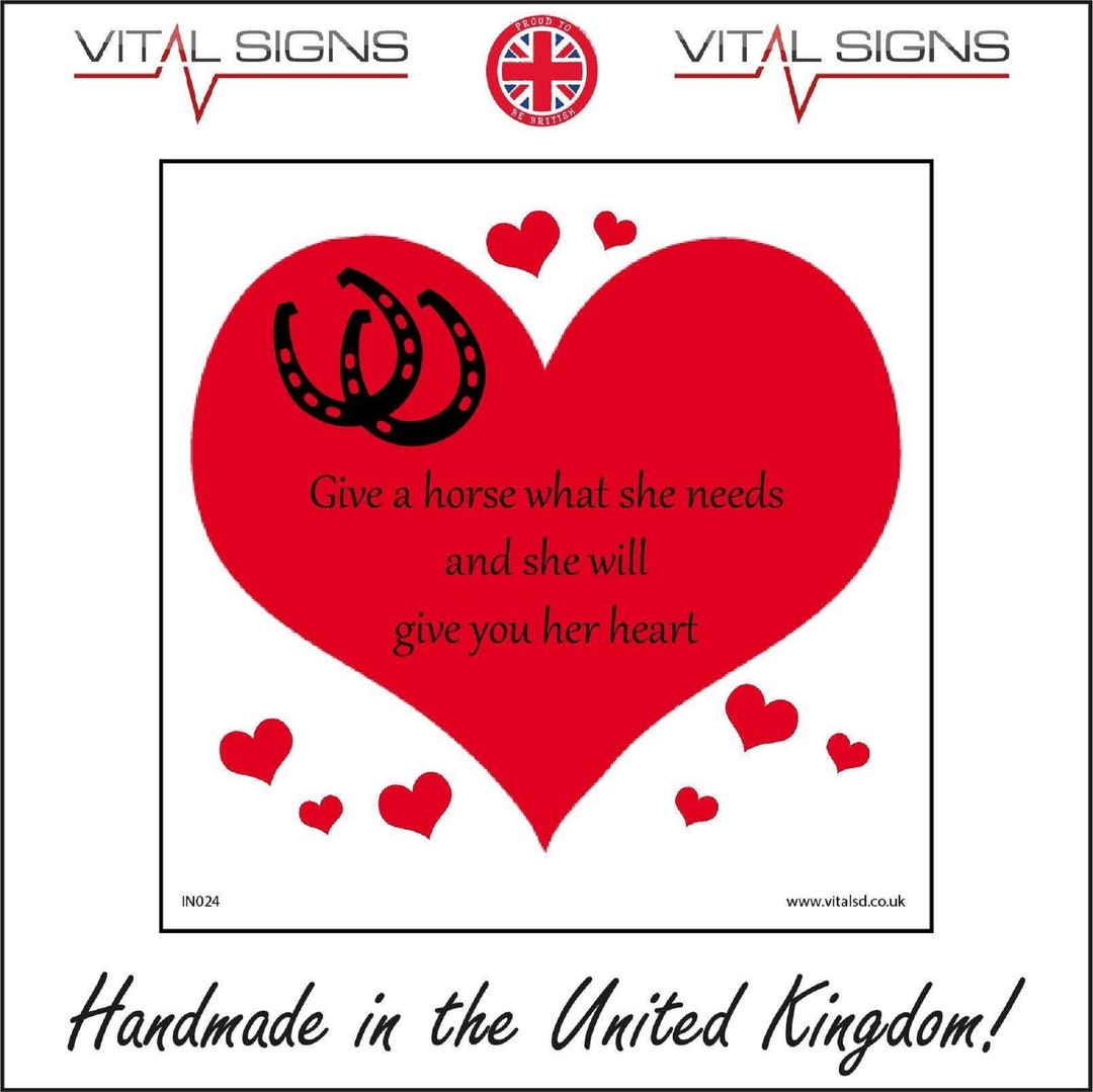 in024-sq-give-a-horse-what-she-needs-and-she-will-give-you-her-etsy