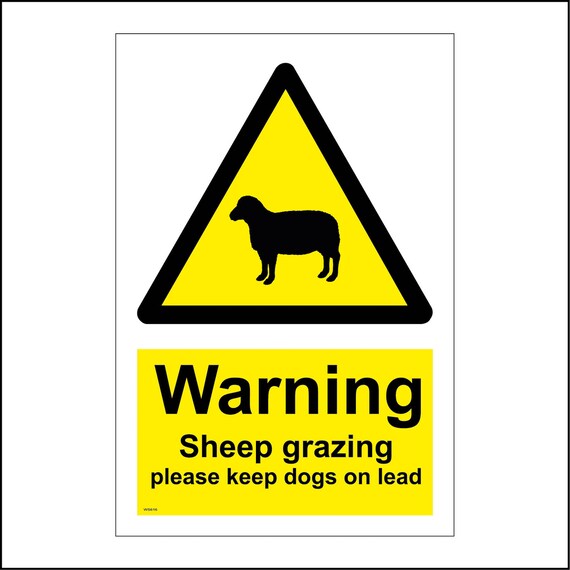 WS616 BP Warning Sheep Grazing Sign Pastures Animals Lambs - Etsy UK WS616 BP Warning Sheep Grazing Sign Pastures Animals Lambs - Etsy UK