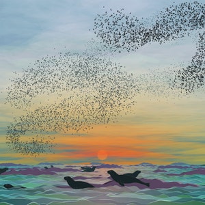 Op de afbeelding: Een zwerm vogels vliegt in een draaiende vorm tegen een zonsondergangshemel boven een waterlichaam met verschillende zeehonden die in het water zwemmen.