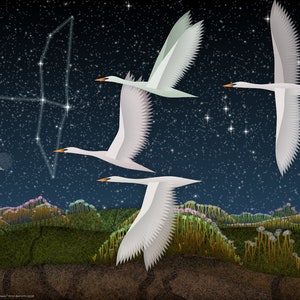 Op de afbeelding: Digitale kunstprint met drie witte zwanen in vlucht tegen een sterrenhemel. Het kunstwerk bevat een sterrenbeeld, een halve maan en een landschap met kleurrijke flora. De zwanen hebben oranje snavels en gedetailleerde vleugelveren.