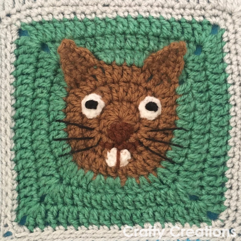 Square Squirrel Pattern Squirrel Granny Square Crochet Pattern - Etsy