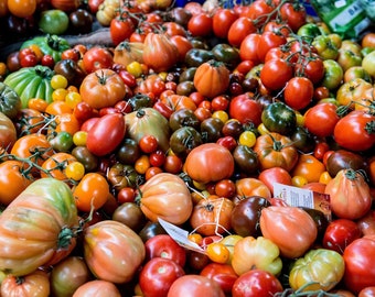 Solanum lycopersicum Tomato Varieties Fresh Seeds Sun Chocolate Super Marmande Tasty Sweet Fruit Hairloom Vegetable Grow your Own Houseplant