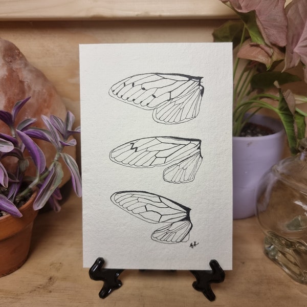 Insect Wings | Cicada Beetle | Anatomy Illustration | Recycled Paper | Botanical tattoo design | Original A6