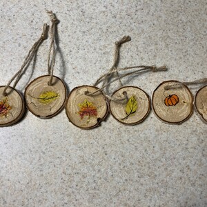 Set of 6 hand painted leaf and pumpkin birch wood ornaments