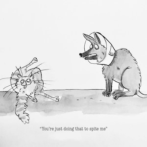 Cone of Shame