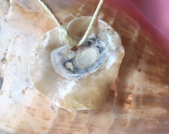 Shiny shell pendant necklace