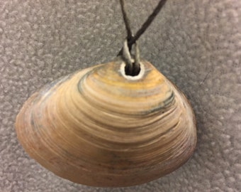 Surf clam pendant necklace on neutral colored cords of varying length (14"-34")