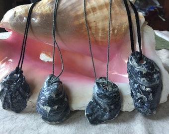 Oyster shell pendant necklace