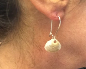 Single mini clam shell earrings on silver or gold plated wires.