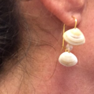 Dual mini clam shell earrings