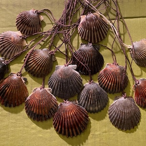 Colar com pingente de concha de vieira colorida em cordão (extra pequeno, pequeno, médio, grande ou extra grande)