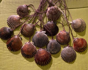 Colorful scallop shell pendant on cord necklace (extra small, small, medium, large or extra large)