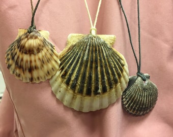 Colorful scallop shell pendant on cord necklace (extra small, small, medium or large)