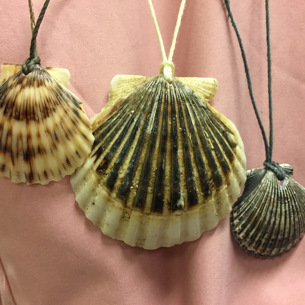 Colorful scallop shell pendant on cord necklace (extra small, small, medium or large)