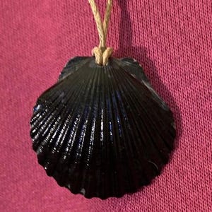 May include: A black seashell pendant necklace with a simple brown cord.