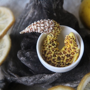 Leopard Gecko Figurine Hand Painted (Tea Leopard Gecko / Teacup Leopard Gecko)