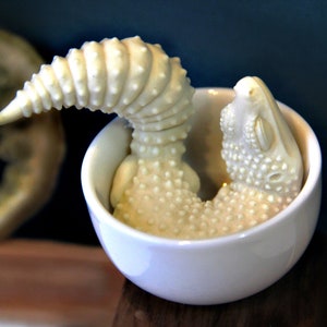 Leopard Gecko Resin Model Kit (Tea Leopard Gecko / Teacup Leopard Gecko)