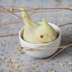 Miniature cockatiel figurine sleep in teacup. Handmade resin cockatiel art in cup. Cockatiel sculpture statue totem figure.