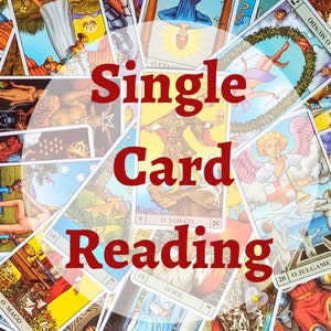 Une seule lecture de tarot le jour même