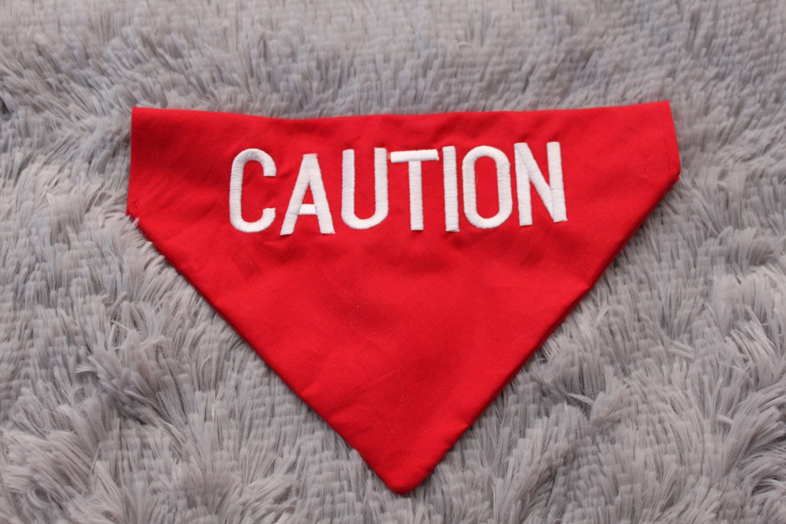 Reactive Dog Bandana Over the Collar Option to Personalize Etsy