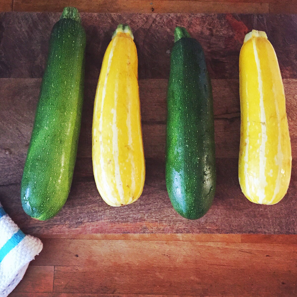 Summer Squash Green Zucchini Garden Printable / Digital Photo | Etsy