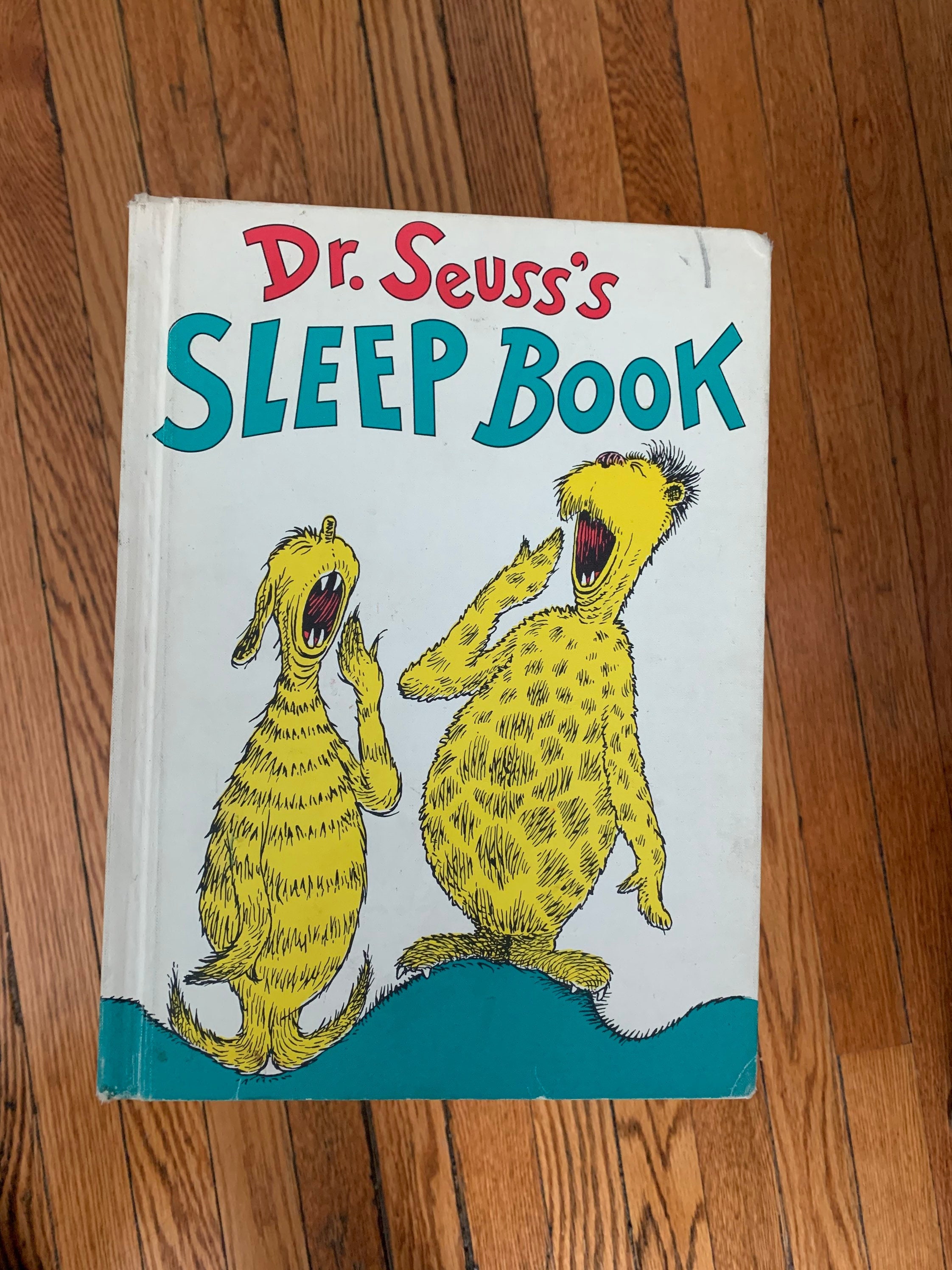 dr seuss sleep book lyrics