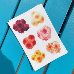Dahlia Bouquets Sticker Sheet