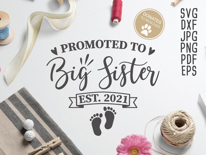 Download Promoted to Big Sister est. 2021 SVG new sister svg family ...