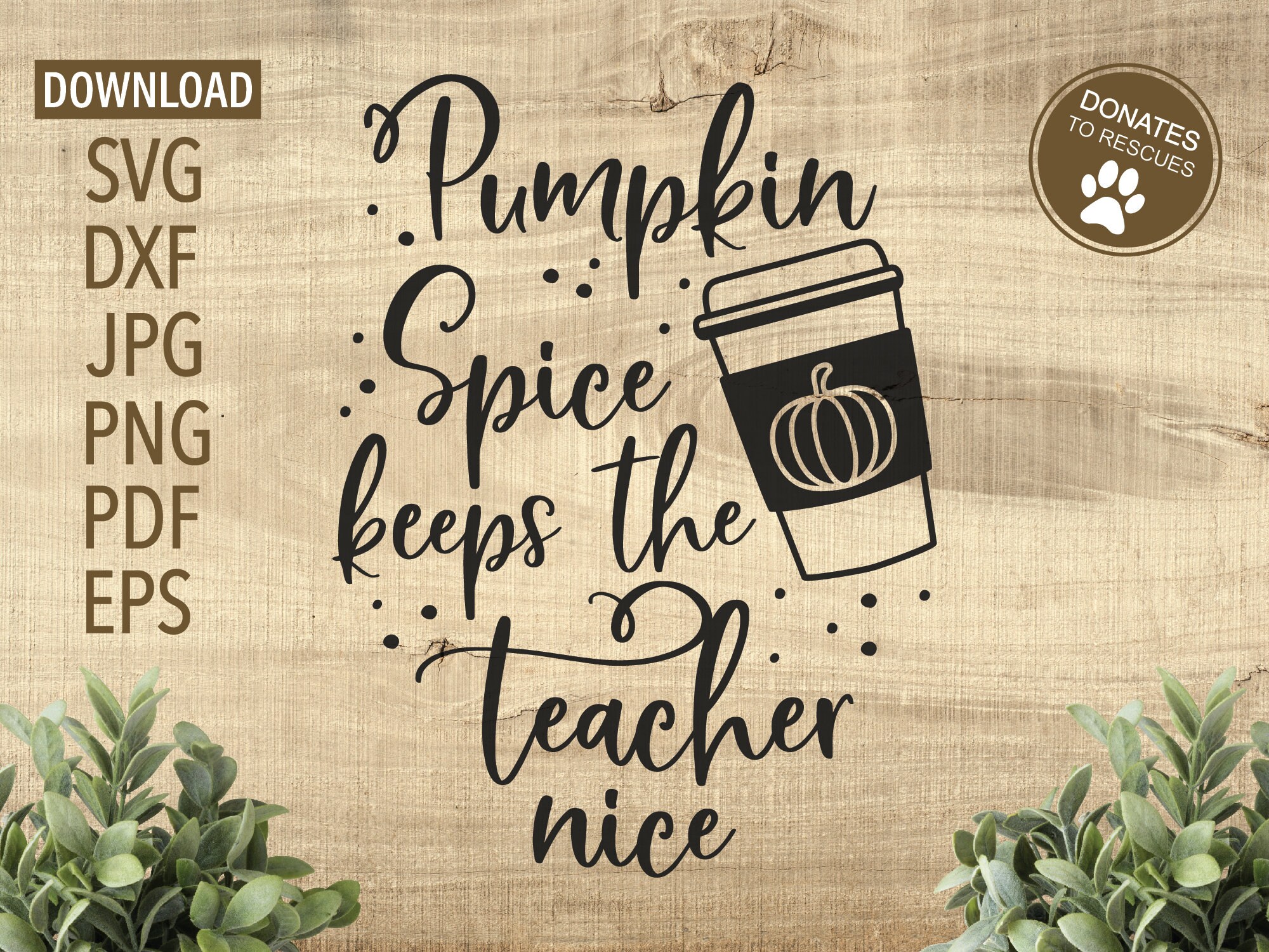 Pumpkin Spice Keeps the Teacher Nice SVG | Funny Teacher Svg | Fall Svg ...