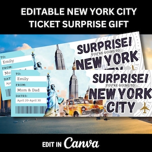 New York Surprise Trip Ticket for NYC Boarding Pass for New York City Vacation Voucher Editable Template for Printable Ticket to USA