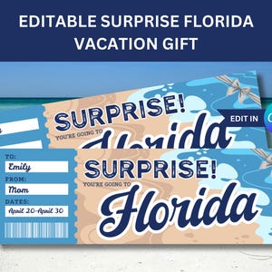 Editable Florida Ticket for Surprise Gift to Florida Boarding Pass Gift Certificate Travel Surprise Gift Vacation Certificate to Florida