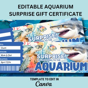 Editable Aquarium SURPRISE Trip Gift Ticket Template for Aquarium Visit Surprise Gift Template for Aquarium Gift for Shark Petting Ticket