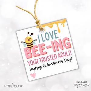 School Counselor Valentine from Social Worker Valentine from Youth Mentor Valentines Day Treat Tag from Daycare Provider Valentine