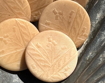 Antique French Vegetable Ivory Highly Carved Floral Buttons 9/16" 14mm Tagua Nut Set of 6 Flower Motif