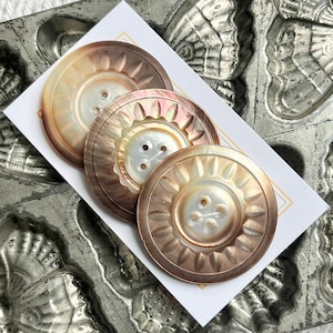 Antique Mother of Pearl Shell Button Set of 3 Bronzy Rainbow MOP Buttons 1 9/16” 40mm Vintage Coat Buttons