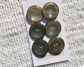 Luminous Antique Horn Buttons Sage Green Blue 7/8” Button Set of 6 Unusual Color