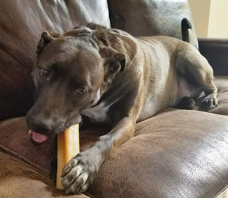 BIG YAK CHEWS for Giant Breeds pack of 1 2 5 and 10 Etsy