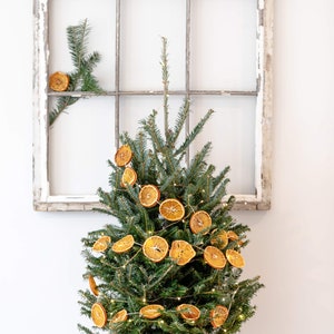 Large Flower Pot Ceramic Planter Large Houseplant Pot Indoor Plant Pot With Drainage Holes Plant Lovers Gift for Her Housewarming Gift Plant