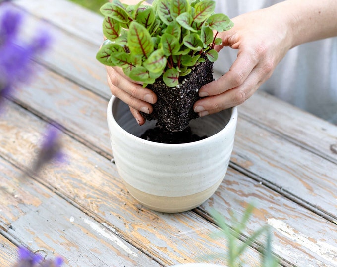 Hull Pottery（ハル・ポタリー）製 ヴィンテージの植木鉢 1950s Hull pottery footed planter - Etsy 日本